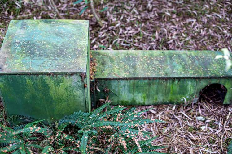 Lots 10-24 54a Redcliffs Road Kerikeri_15