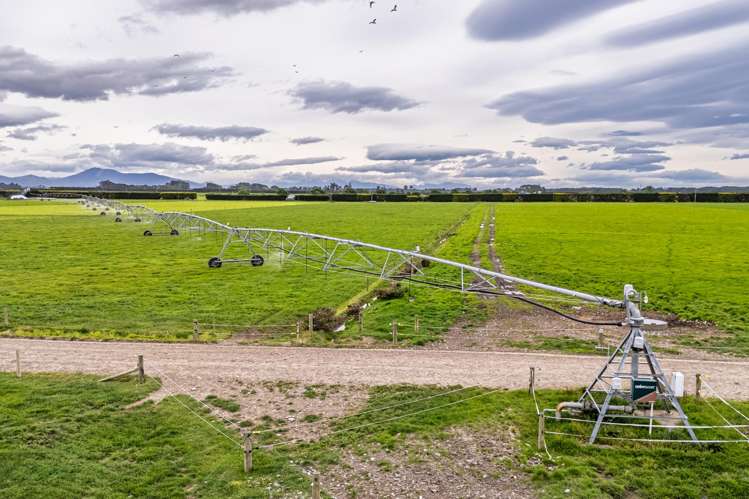 52 White Road Milford_6