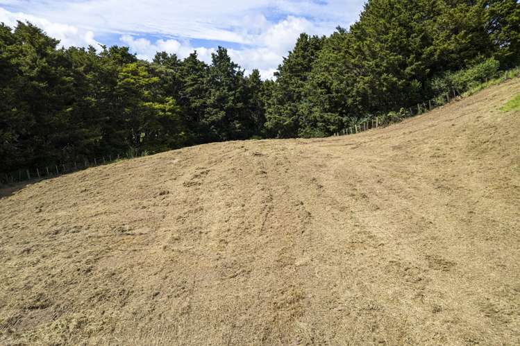 45 Kiwi Lane Kaiwaka_8