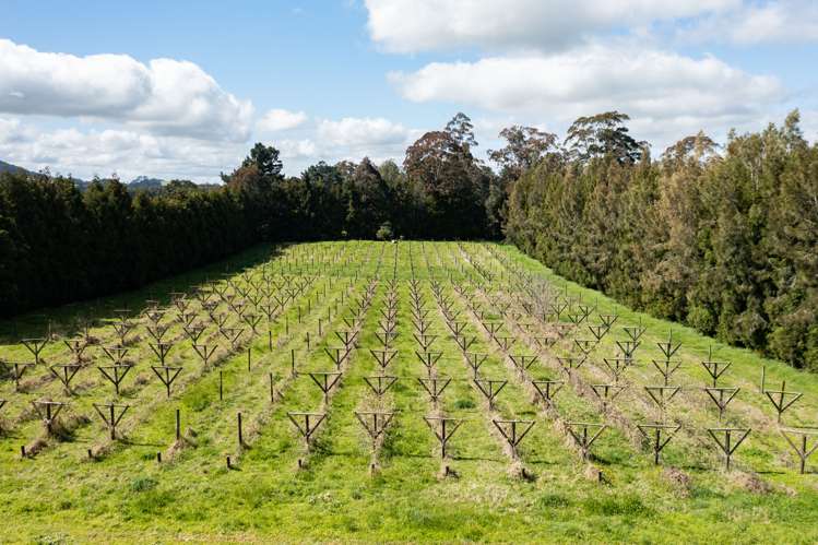 1374 Pipiwai Road Ruatangata_7