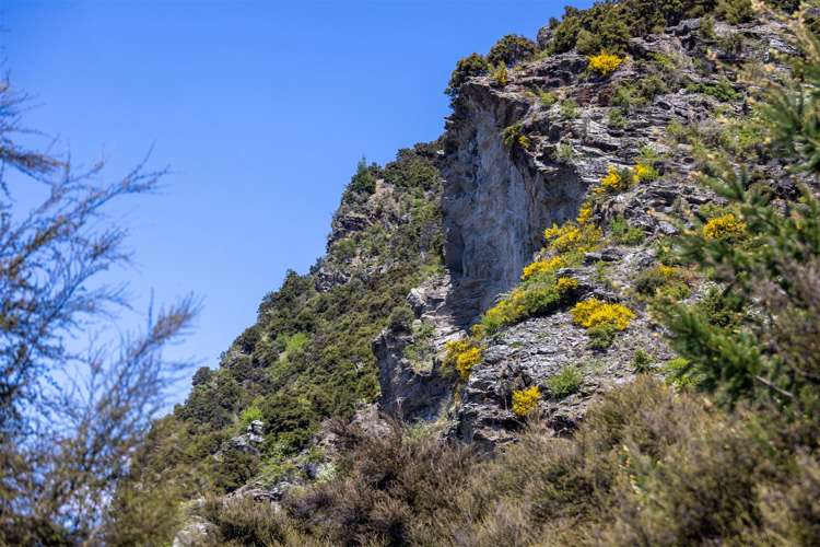 13 Ewing Place Albert Town_16