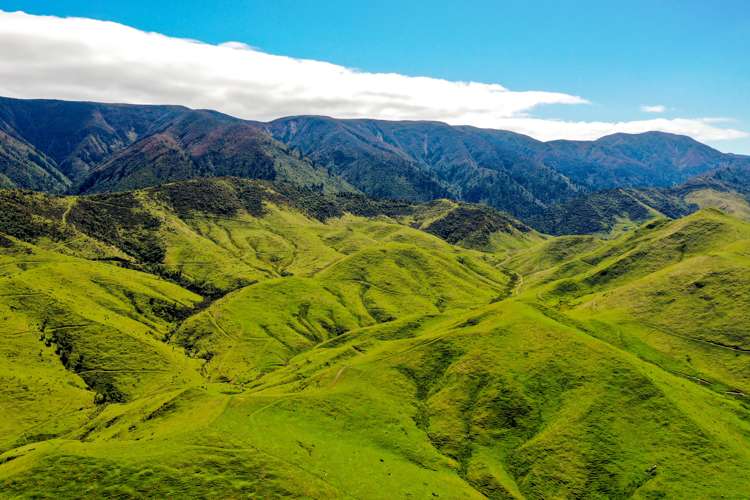 412 Tamaki West Road Dannevirke_7