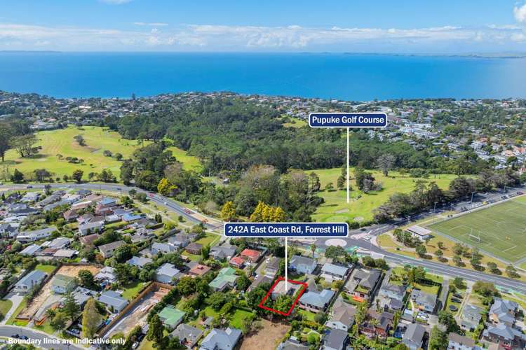 242a East Coast Road Forrest Hill_21