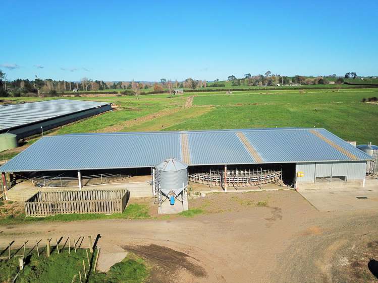 240 Bayly Road South Waikato_7