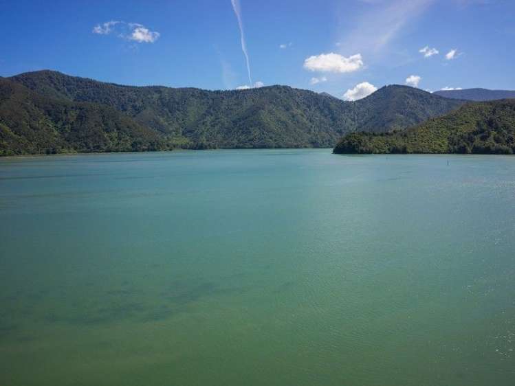 7 Rose Street Havelock_19