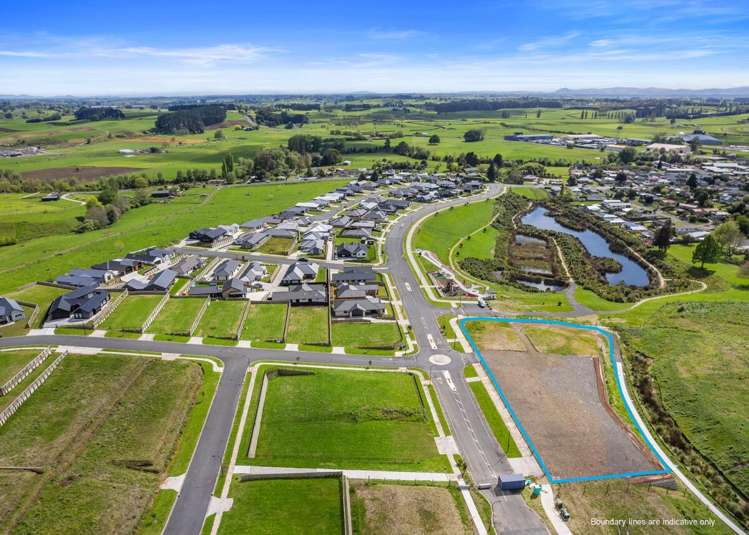 8 Frontier Road Te Awamutu_7