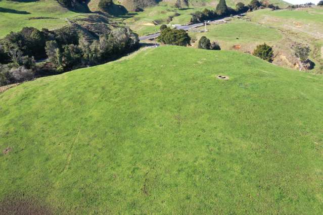 1141 Waingaro Road Glen Massey_1