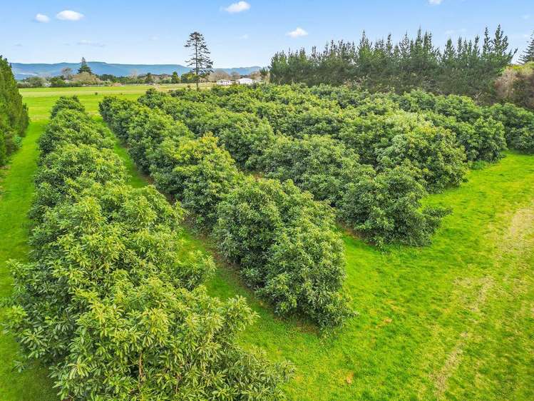 4784 State Highway 12 Kaikohe_23