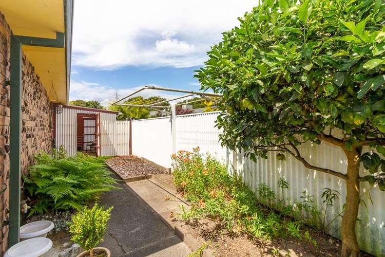 15 AINTREE CRESCENT Awapuni_17