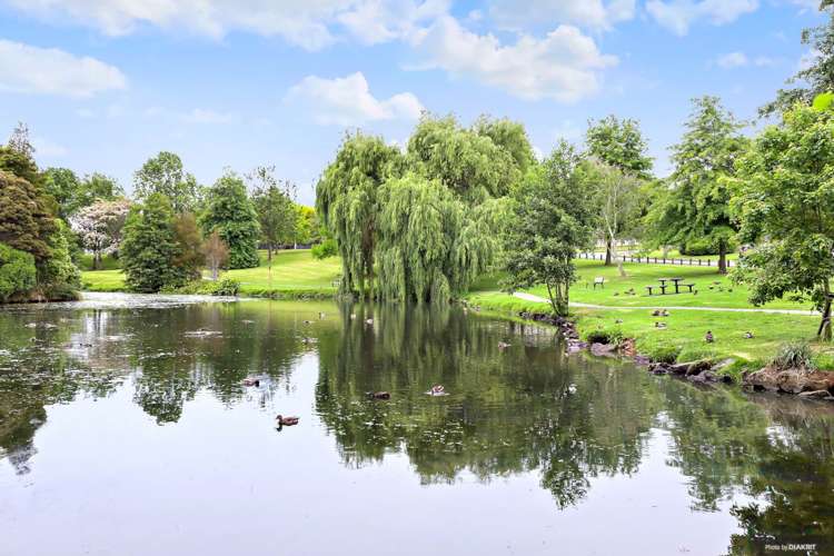 6d Reynolds Road Pukekohe_5