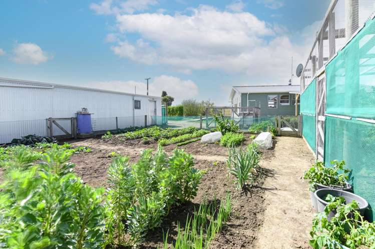 91 Bushy Park Road Kai Iwi_5