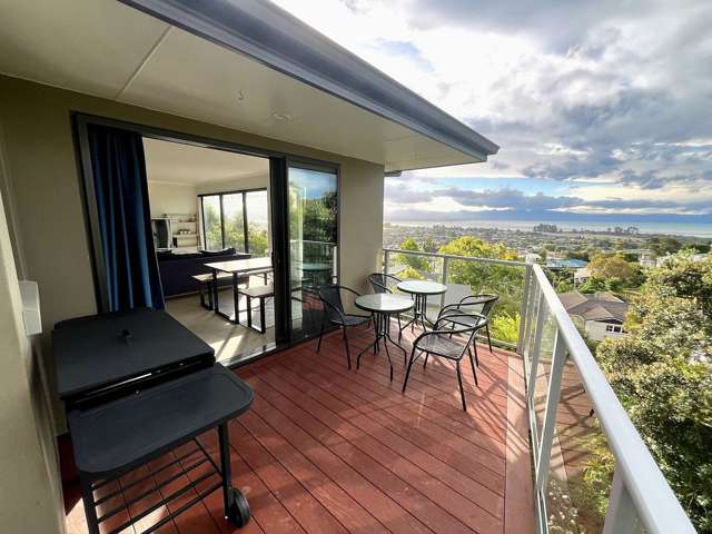 19A Rangiora Terrace Tahunanui_2