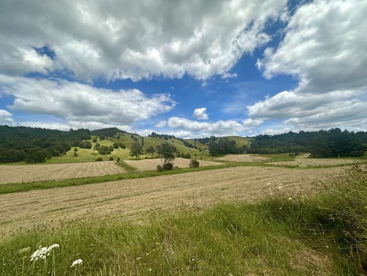 Lot 3 Waiotoi Road Ngunguru_19