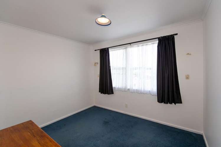 161 Guppy Road Taradale_8