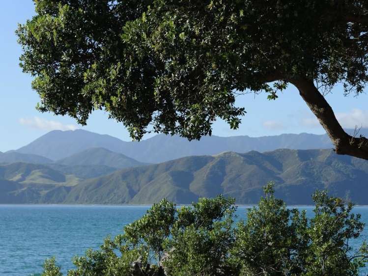 375 Karaka Bay Road Karaka Bays_7