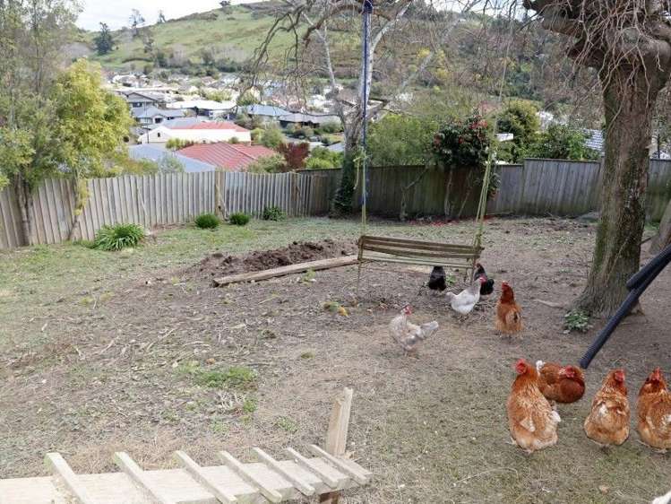 85 Campbell Street Nelson South_5