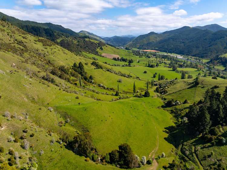 2323 Motueka Valley Highway Ngatimoti_7