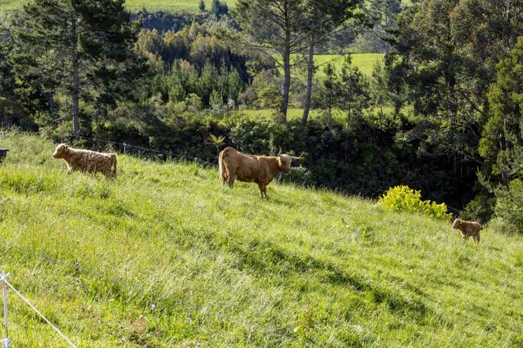 1/394 Orakei Korako Road Ohakuri_34