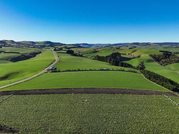 125B Davidson Road Mimihau_5