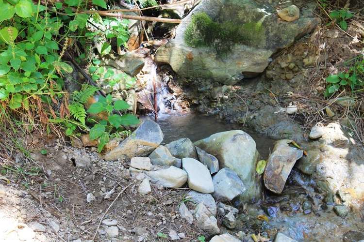 South East Bay Kenepuru Sound_6