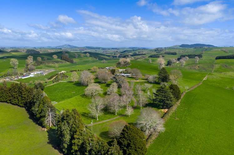 522 Waimanu Road Pukeatua_6