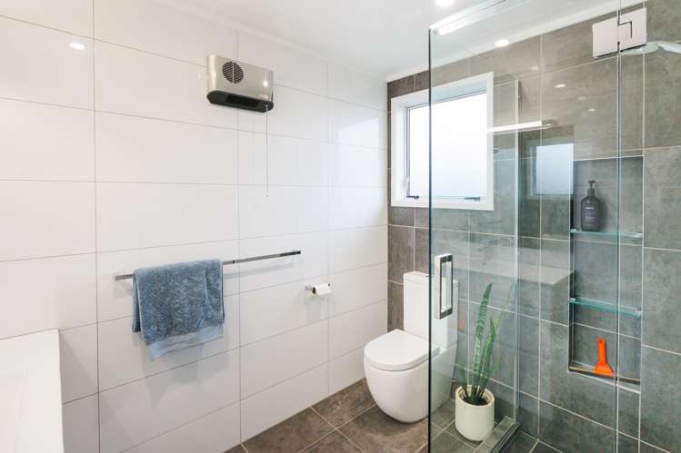 644 Featherston Street Roslyn_22