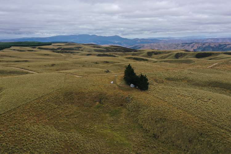 732 Beaumont Highway Clutha_14