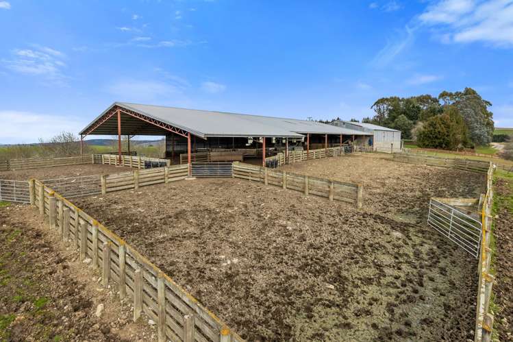 759 Waitahuna Gully Road Manuka Creek_12