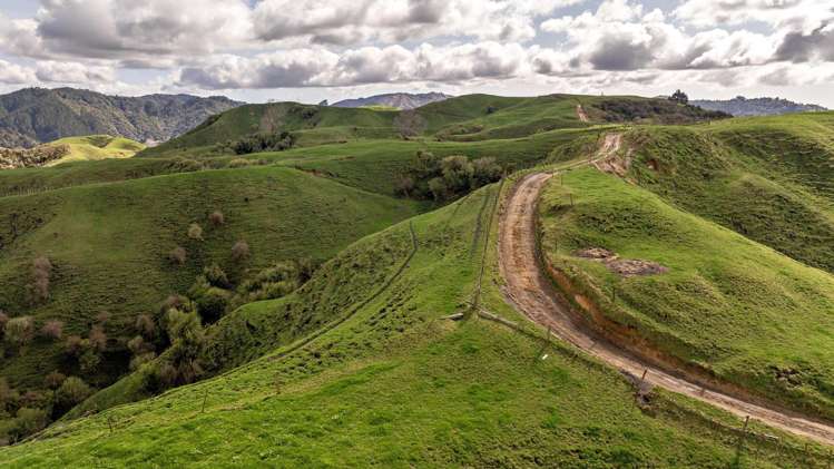 169 Addison Road Waimana_12