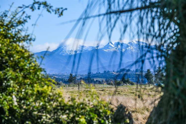 117 Barnett Avenue Nelson Bays Coastal_44