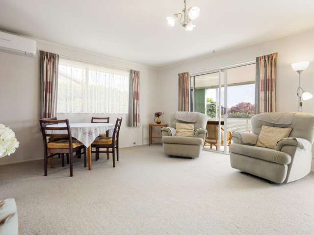 7A Hyde Avenue Nawton_4