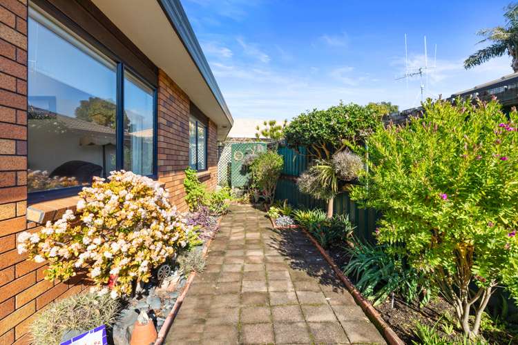 12a Banksia Dell Mount Maunganui_13