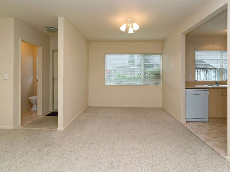 193b Killarney Road Frankton_5