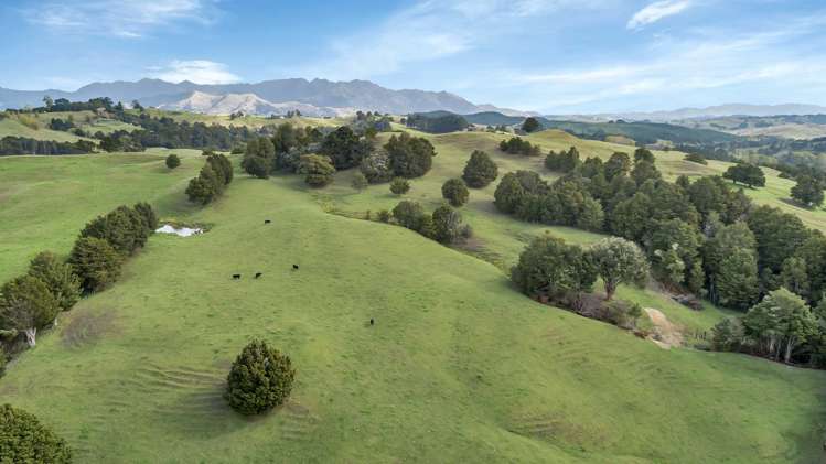 1787a State Highway 14 Mangapai and Surrounds_14