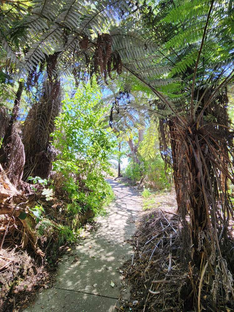 15 Mackay Lane Waipu_19