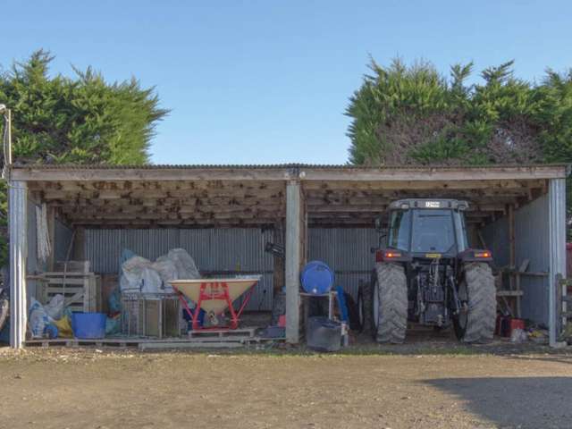 542 Flora East Makarewa_4