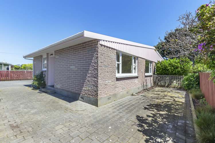 53b Darlington Road Miramar_6