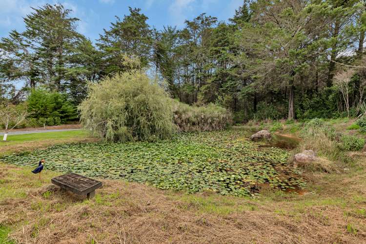 449 Cemetery Road Maunu_43