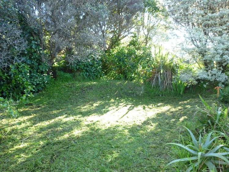 75 Miramar North Road Miramar_21