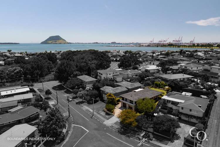 10 Andrew Place Otumoetai_30