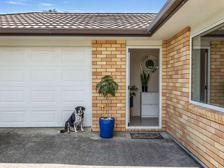 48 Omana Avenue Helensville_13