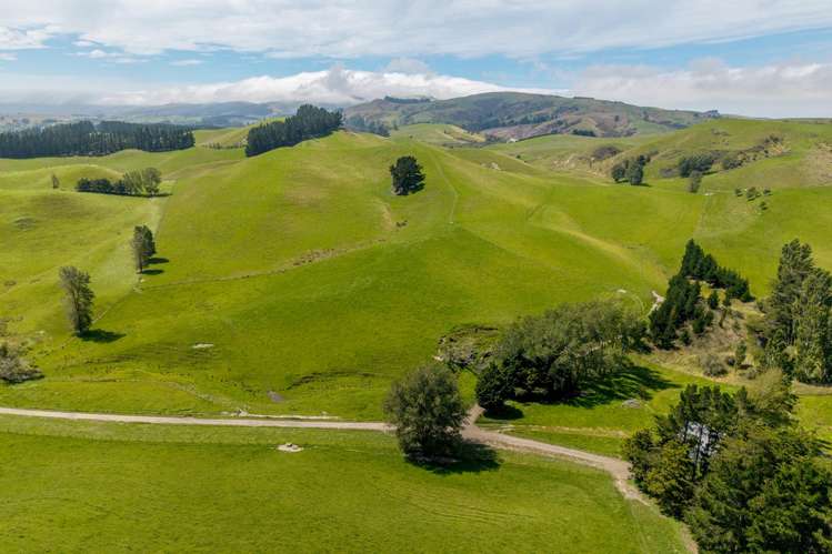 299 Domett Road Domett_10