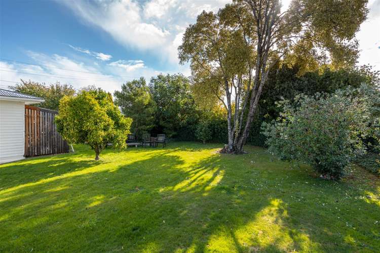 34 Harley Street Solway_13