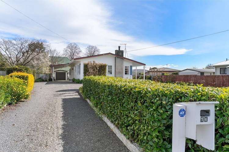 16 Hogg Crescent Masterton_14