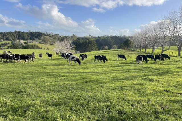 140 Te Arai Point Road Te Arai_3