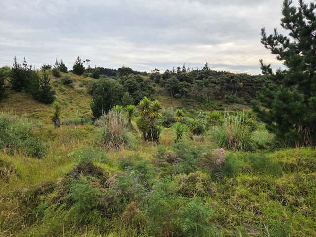 WILSON ROAD, Mairetahi, South Head 0874