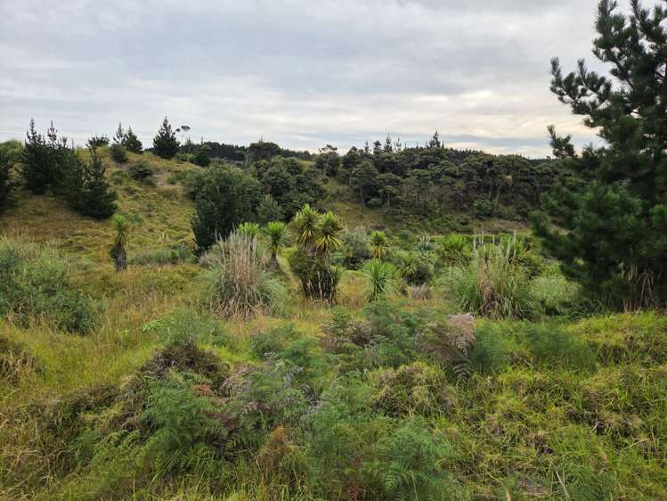 Wilson Road South Head_0