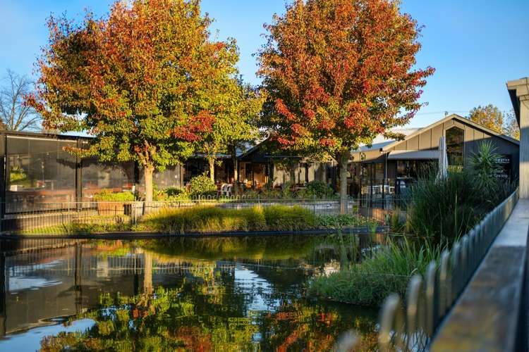 193 Rapaura Road Rapaura_12