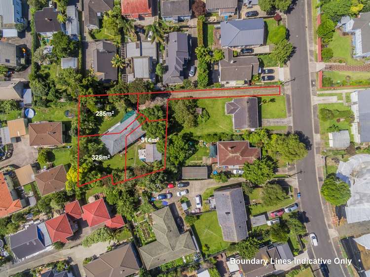 3a Tutuki Street Waterview_5