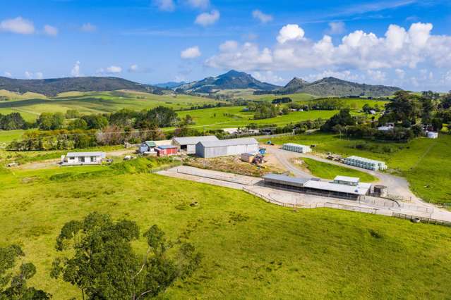 271 Pataua South Road Pataua South_2